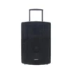 POLYTRON ACTIVE SPEAKER - PASPRO 15F3