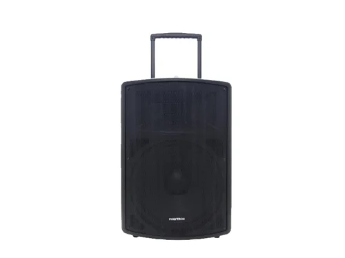 POLYTRON ACTIVE SPEAKER - PASPRO 15F3