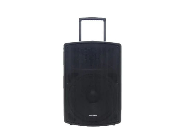 POLYTRON ACTIVE SPEAKER - PASPRO 15F3