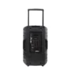 POLYTRON ACTIVE SPEAKER - PASPRO 15F3
