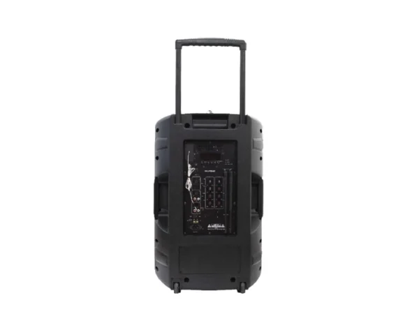 POLYTRON ACTIVE SPEAKER - PASPRO 15F3