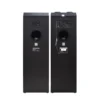 POLYTRON ACTIVE SPEAKER - PAS 10DF28