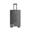 POLYTRON ACTIVE SPEAKER - PAS PRO15F7