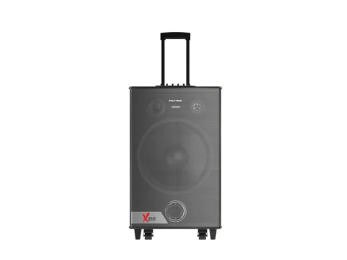 POLYTRON ACTIVE SPEAKER - PAS PRO15F7